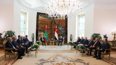 Photo de Le Caire: rencontre au sommet entre les deux présidents