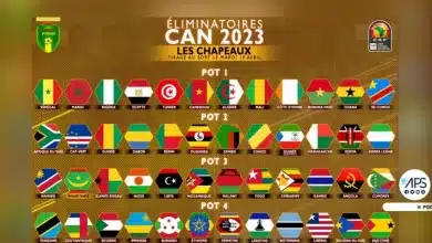 Photo de Coupe d’Afrique des Nations: programme complet des matchs