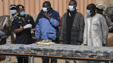 Sahel : Le trafic de drogue prospère grâce aux groupes armés 7 Photo de Sahel : Le trafic de drogue prospère grâce aux groupes armés