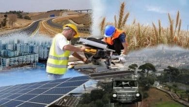 Algérie: les mesures concrétisées pour stimuler les exportations hors hydrocarbures saluées 4 Photo de Algérie: les mesures concrétisées pour stimuler les exportations hors hydrocarbures saluées