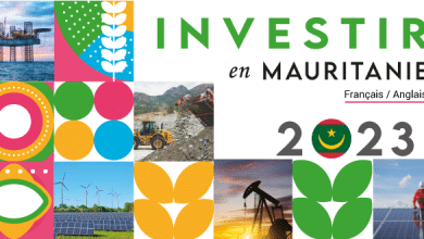 Photo de Thierno Diallo, « la diaspora mauritanienne est prête à investir, mais il y a beaucoup d&rsquo;obstacles »