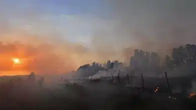 Photo de Algérie: la majorité des incendies éteints, encore 13 en cours