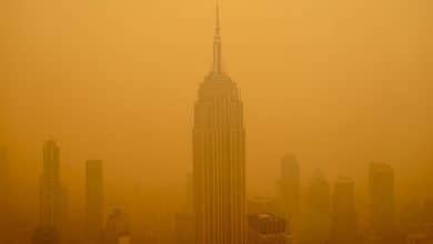 Photo de La crise écologique dont nous avons été avertis a commencé