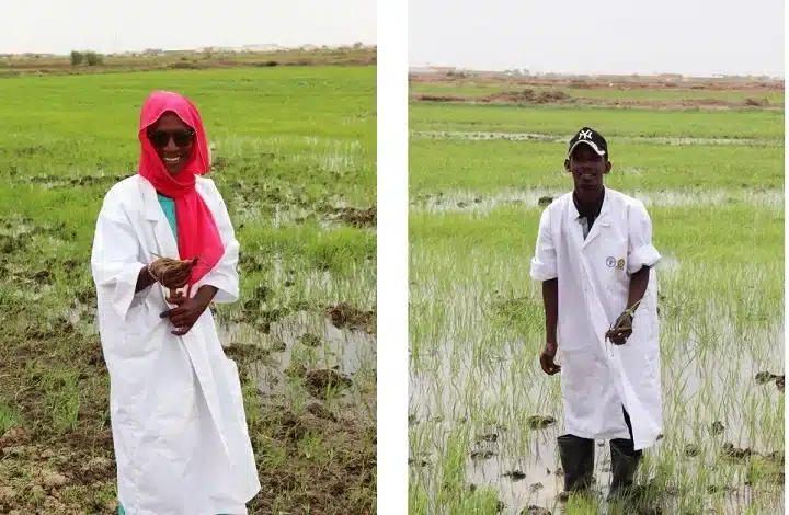 Des jeunes mauritaniens découvrent le potentiel de leur terre