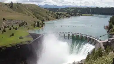 La Guinée suspend sa participation à l’OMVS : l’Organisation parle de « profond regret » 5 Photo de La Guinée suspend sa participation à l’OMVS : l’Organisation parle de « profond regret »