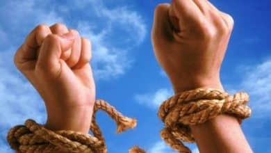 L'Algérie célèbre la journée mondiale de la dignité des victimes de la traite des êtres humains 7 Photo de L’Algérie célèbre la journée mondiale de la dignité des victimes de la traite des êtres humains