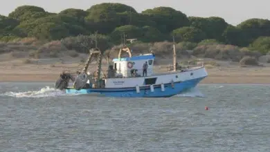 Photo de Le cauchemar d’un skipper de pêche andalou: arrêté en Mauritanie pour la mort présumée de quatre marins