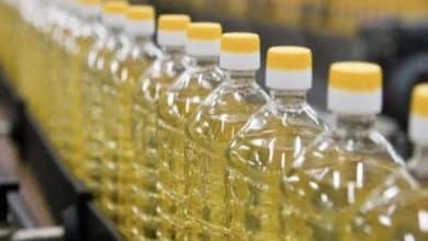 Photo de Maroc : lancement d’une usine de production d’huile végétale de 19 millions $ dans la province de Laâyoune