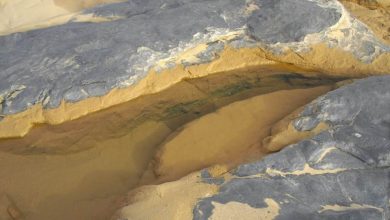 Photo de Zoom sur les ressources en eau en Mauritanie