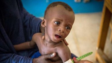 Photo de Terrorisme, sécheresse et faim: le Sahel menace la crise