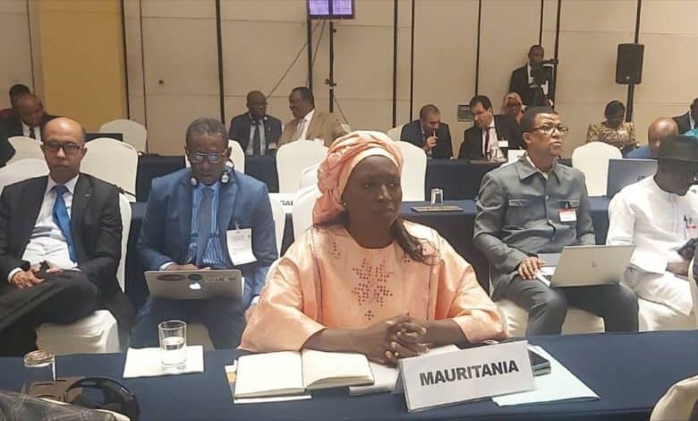 La ministre de l'Environnement regagne Nouakchott