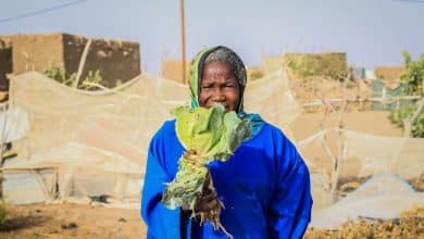 Les femmes mauritaniennes et l'agriculture 1 Photo de Les femmes mauritaniennes et l’agriculture