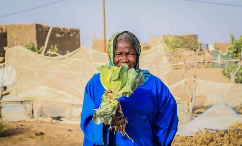 développement de l’agriculture