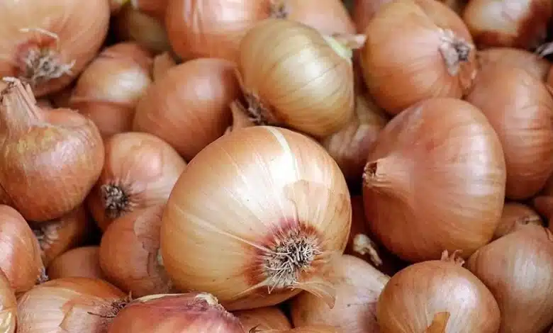 Mali : L’oignon s’ajoute à la liste des produits onéreux à cause des restrictions au Maroc