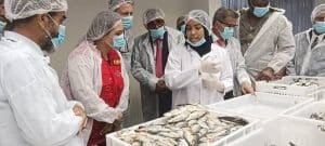 Inauguration officielle de l'usine pédagogique de mise en conserve de sardines et de thons