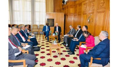 Photo de Le ministre des Affaires étrangères rencontre son homologue palestinien au Caire