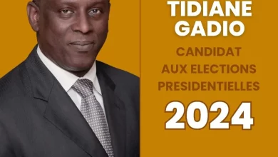 Photo de Présidentielle 2024: Dr Cheikh Tidiane Gadio déclare sa candidature