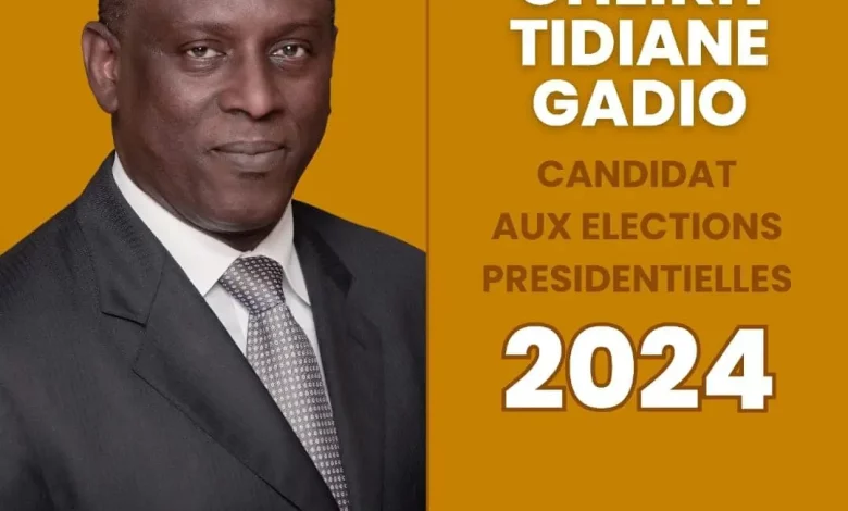 Présidentielle 2024: Dr Cheikh Tidiane Gadio déclare sa candidature