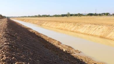 Photo de MAURITANIE : le réseau d’irrigation de Rosso étendu pour la desserte des agriculteurs