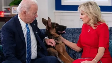 Photo de Joe Biden : Pourquoi Commander, le chien du président américain, a-t-il dû quitter la Maison Blanche ?