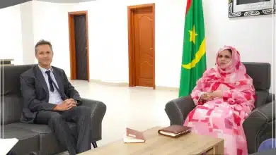 Photo de La Ministre de l’Emploi a reçu l’Ambassadeur de l’UE en Mauritanie