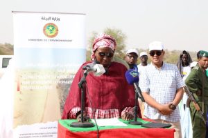 Lancement de la campagne de lutte contre les feux de brousse dans les 7 wilayas agro-sylvo-pastorales