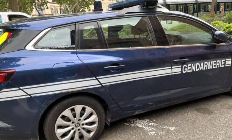 Photo de INFO ACTU TOULOUSE. La femme impliquée dans un meurtre au couteau avait déjà tué