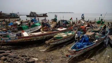 Photo de La Guinée-Bissau veut reprendre les inspections de pêche avec les pays voisins
