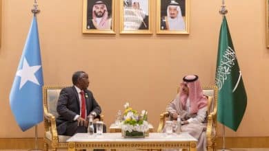Saudi and Somali foreign ministers meet ahead of Arab summit on Gaza 7 Photo de Saudi and Somali foreign ministers meet ahead of Arab summit on Gaza