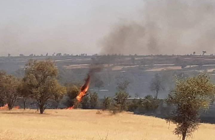 Photo de Brakna : Un feu de brousse fait plusieurs blessés
