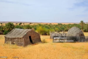 paillotes dans l'oasis d'azougui près de la région d'atar adrar mauritanie