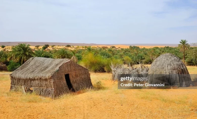 paillotes dans l'oasis d'azougui près de la région d'atar adrar mauritanie