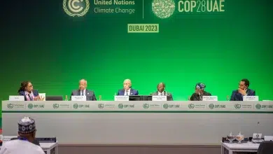 Le président de la République a participé à une séance de travail de haut niveau 2 Photo de Le président de la République a participé à une séance de travail de haut niveau