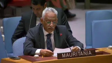 Approche: lutte contre le détournement et le trafic illicite des armes 1 Photo de Approche: lutte contre le détournement et le trafic illicite des armes