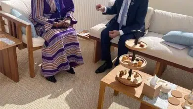 Photo de Le Président de la République s’entretient avec la vice-présidente du Bénin.