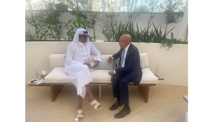 Le Président de la République s’entretient avec l’Émir du Qatar