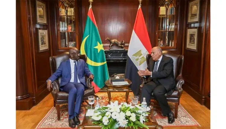 Photo de Le ministre des Affaires étrangères rencontre son homologue égyptien.