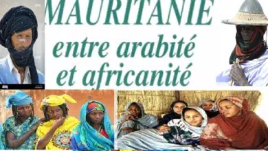 Photo de L’obsession de l’arabité : Entre complexe et hypocrisie ! [Eveil Hebdo]