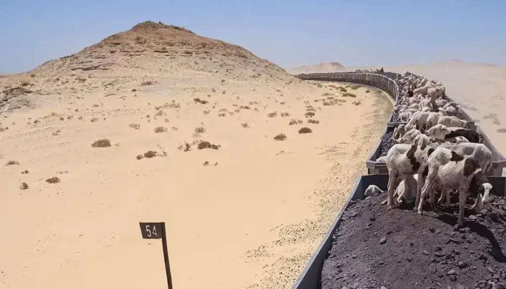 À travers le Sahara en train