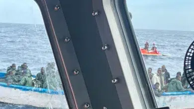 Près de 1 000 immigrants sont arrivés aux îles Canaries 8 Photo de Près de 1 000 immigrants sont arrivés aux îles Canaries