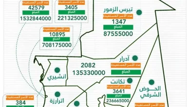 Ramadan: Distribution de 7,9 milliards de MRO au profit de 140 878 familles 9 Photo de Ramadan: Distribution de 7,9 milliards de MRO au profit de 140 878 familles