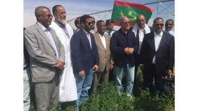 Le ministre de l’Agriculture visite des fermes maraîchères à Aftout Essahili 13 Photo de Le ministre de l’Agriculture visite des fermes maraîchères à Aftout Essahili