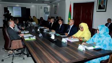 Le Premier ministre préside la réunion périodique avec l’UE. 10 Photo de Le Premier ministre préside la réunion périodique avec l’UE.
