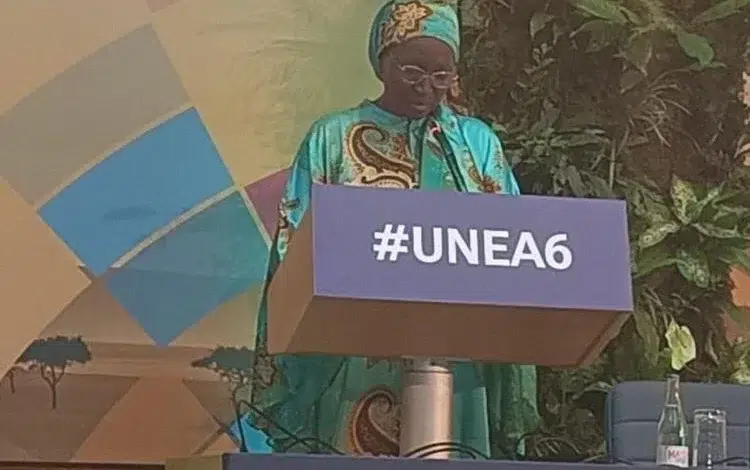 Mme Lalya Aly Kamara participe au Haut segment de la UNEA-6