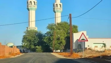 Photo de Nebaghia, la cité des génies