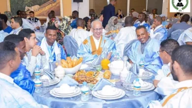 Photo de Un trio époustouflant au Palais ocre.