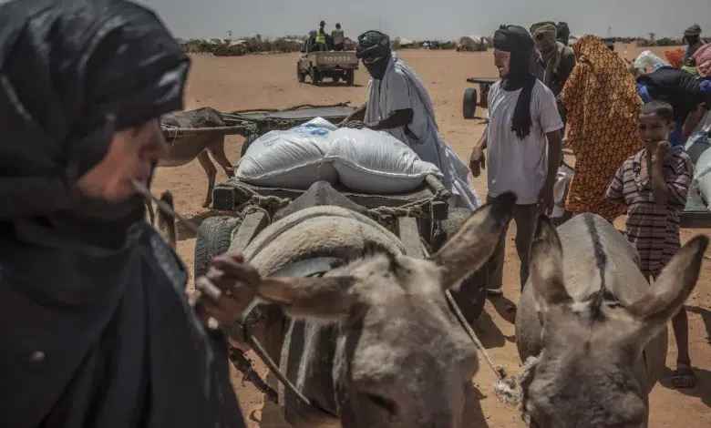 Mauritanie : la stabilité dans l’instabilité.