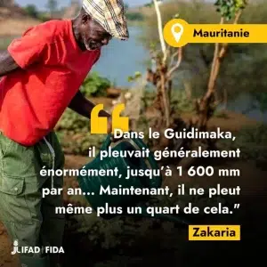 Désertification en Mauritanie