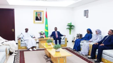 Photo de CLD- Mauritanie : Ibrahim Thiaw reçu par le Premier ministre
