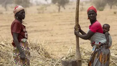 Photo de L’étau de la faim se resserre sur les populations d’Afrique de l’Ouest et Afrique centrale sur fond de conflits et de marasme économique persistants